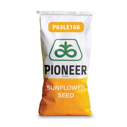 WOREK P63LE166.jpg