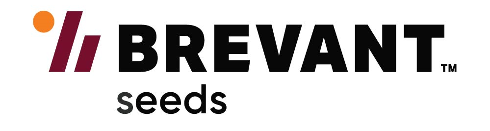 Producent: Brevant™ (przejdź do strony: http://www.brevant.pl)